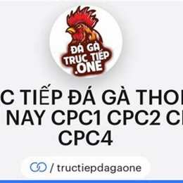 đá gà thomo cpc2 hôm nay
