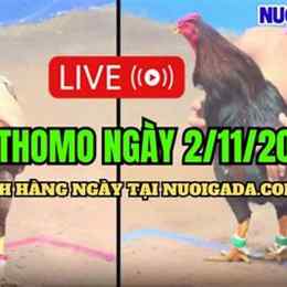 đá gà thomo cpc3 hôm nay trận 24