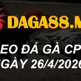 đá gà thomo ngày 26 tháng 04 năm 2024