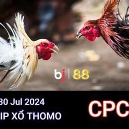 đá gà thomo ngày 30 tháng 5 2024