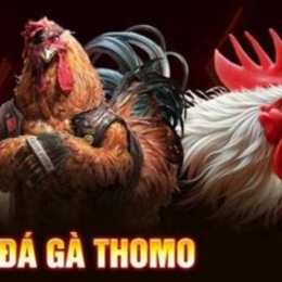 da ga thomo sv368 com