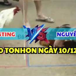 đá gà thomo trận 30 c2