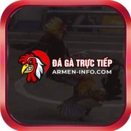 đá gà thomo trực tiếp 88 hôm nay