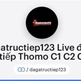 đá gà thomo trực tiếp c1 c2 c3 c4