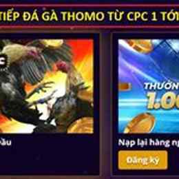 đá gà thomoc2
