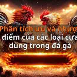 đá gà thứ hai