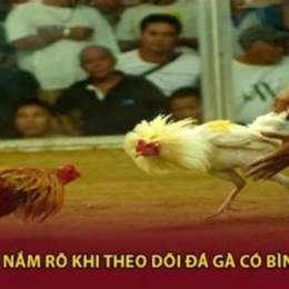 đá gà thua mô bình luận viên