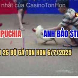 da ga ton hon bao sting