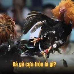 đá ga ton hon