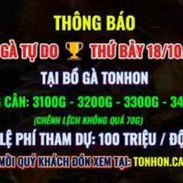 đá gà tonhon 18/10
