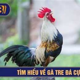 da ga tre cua sat 2017