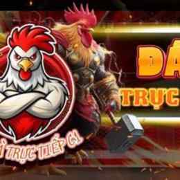 đá gà tre trực tiếp c1