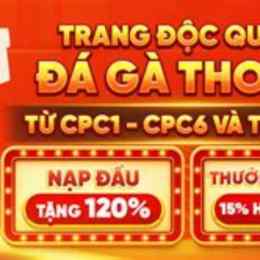 đá gà trên mạng trực tiếp thomo