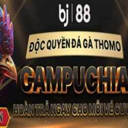 đá gà trực tiếp 88 c3 hôm nay
