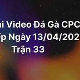 đá gà trực tiếp c2 ngày 30 tháng 03