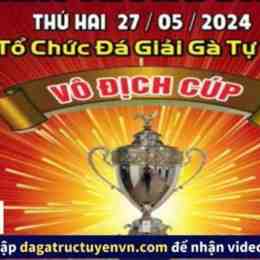 đá gà trực tiếp c3 có bình luận