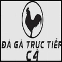 đá gà trực tiếp c4 7 6