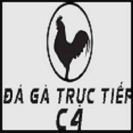đá gà trực tiếp c4 ngày 12 tháng 6