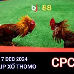 đá gà trực tiếp cpc 4