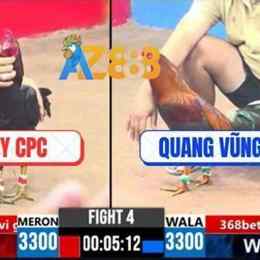 đá gà trực tiếp cpc3 trận 43