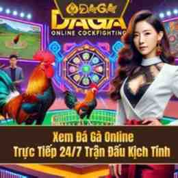 đâ gà trực tiếp hôm nay