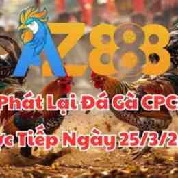 da ga truc tiep ngay 25/8