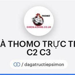 đá gà trực tiếp thomo c1 c2 c4