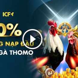 đá gà trực tiếp thomo c2 c3 c4