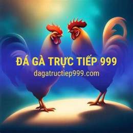 đá gá trực tiếp thomo