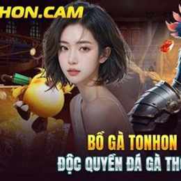 đá gà trực tiếp tonhon 27/8