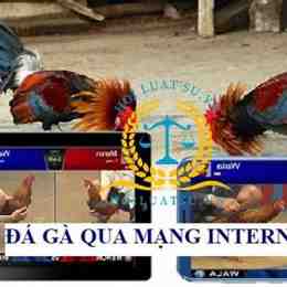 đá gà trực tiếp trên mạng 67