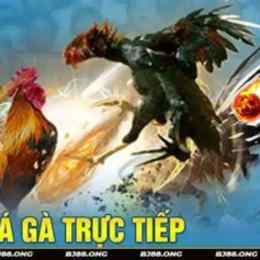 da ga truc tip 88