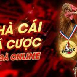 da ga trực tỉp