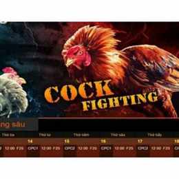 đá gà trực tuyến có bình luận