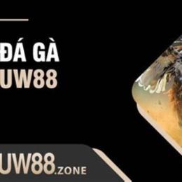 da ga uw88 hom nay