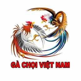 đá gà vip 67 com