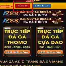 dang ky da ga cua dao