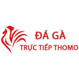 đăng ký đá gà trực tiếp thomo