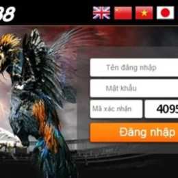 đăng ký trang đá gà trực tiếp