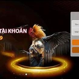 đăng nhập alo789 đá gà đăng nhập