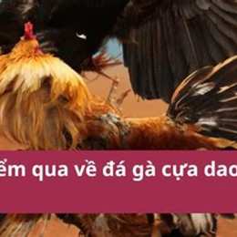 dang nhap da ga cua dao