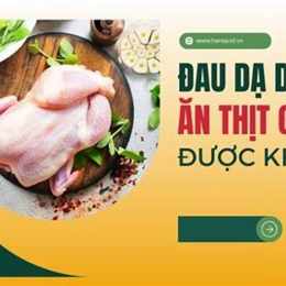 đau dạ dày có an được thịt gà không