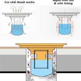 để nước có ga trong ngăn đá