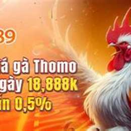dola789 nhà cái đá gà thomo