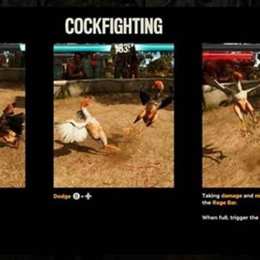 far cry 6 đá gà apk