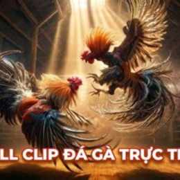 full clip đá gà cpc3 ngày 5/4