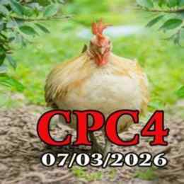 full clip đá gà cpc4 hôm nay