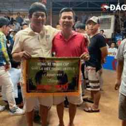 gà cú phúc bình dương đá thua