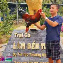 ga da ben tre nhat tam