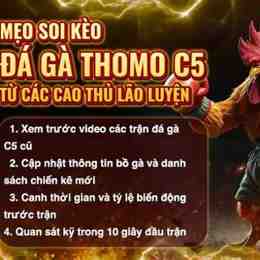 gà đá c5 hôm nay